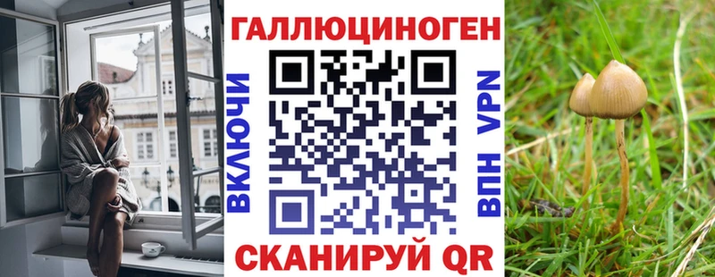 даркнет сайт Нальчик Псилоцибиновые грибы мицелий